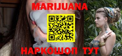 тгк Кингисепп