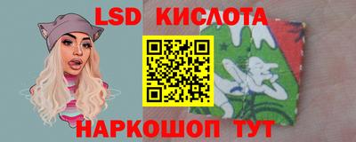 тгк Кингисепп