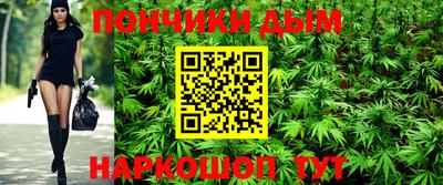 тгк Кингисепп