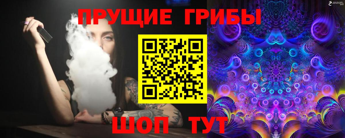 Шахты  Псилоцибиновые грибы Psilocybine cubensis  Вход с VPN  Псилоцибиновые грибы мухоморы 